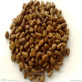 Factory Pine Nut With Shell,Price Of Pine Nuts